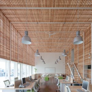 生長の家 森の中のオフィス 設計 施工 清水建設 新建築 Online 株式会社新建築社
