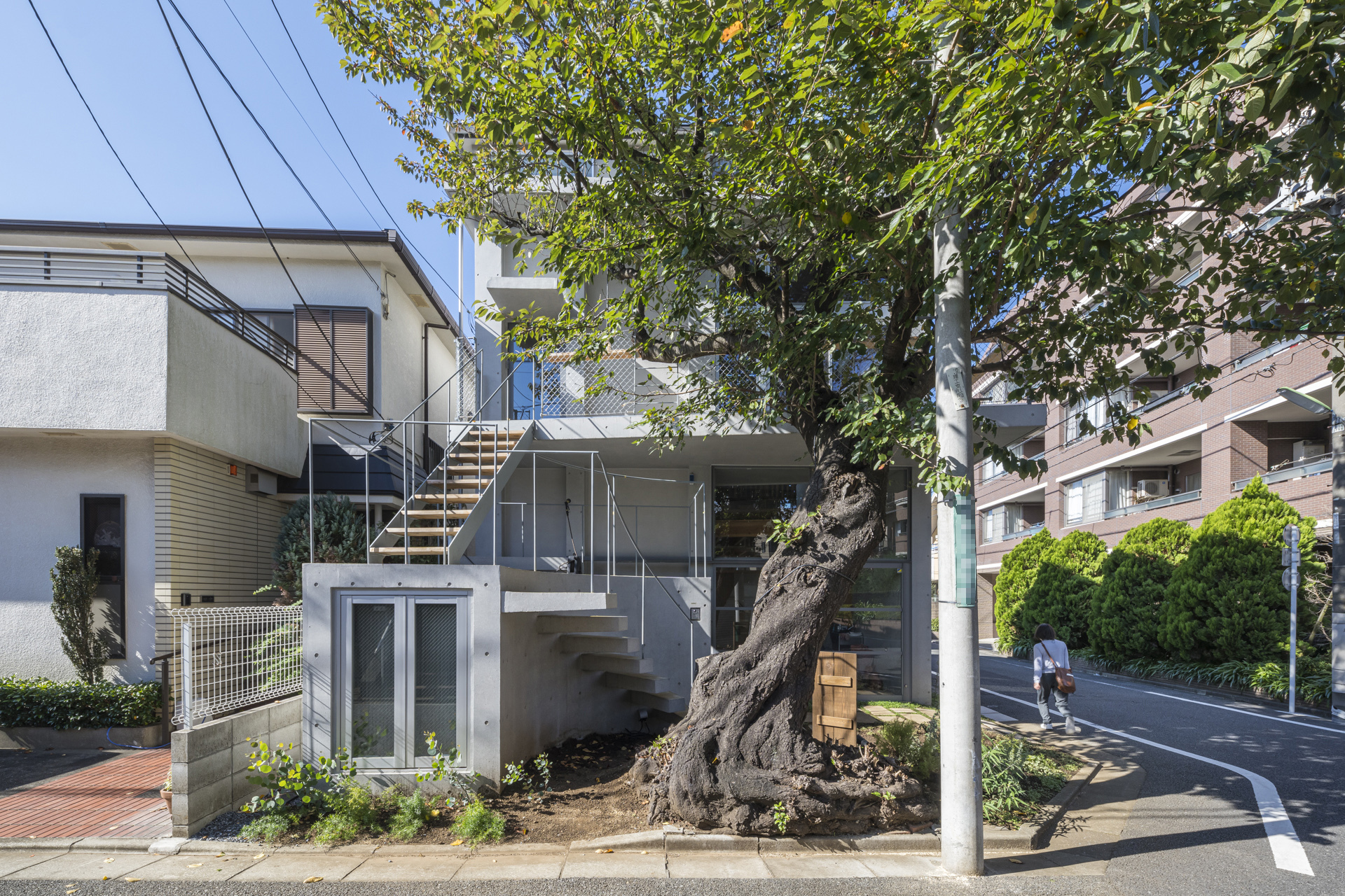 サクラと住宅 設計 神田篤宏 佐野もも コンマ 施工 中野建設工業 株式会社新建築社